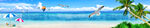沙滩大海全景图