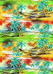 热带花