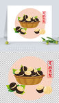 矢量坚果插画夏威夷果