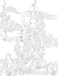梅花