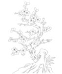 梅花