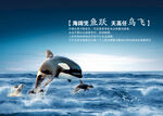 海阔凭鱼跃 天高任鸟飞