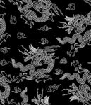 龙