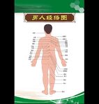 人体经络图