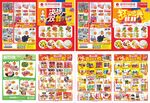双十一超市邮报DM单