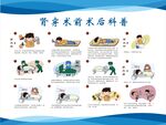 肾穿术前术后科普