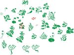 中草药矢量