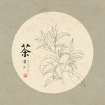 手绘茶叶