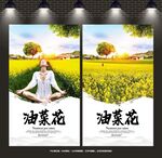 油菜花