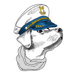 卡通狗海军帽子