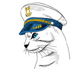 手绘猫海军帽