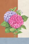 绣球花装饰画