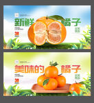 橘子