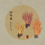 手绘扫把菇