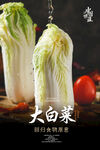 大白菜海报