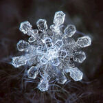 雪花