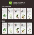 传统药文化磐五味