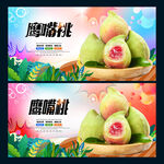 鹰嘴桃