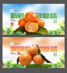 砂糖橘