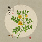 决明子