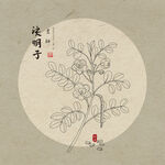 决明子