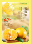 葡萄柚海报