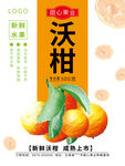 沃柑海报