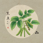 黑豆