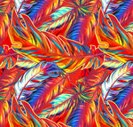 叶子 羽毛