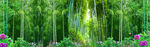 3D竹林全屋背景墙