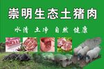 崇明生太土猪肉