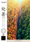 节气海报