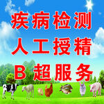 兽药招牌 