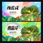 西蓝花
