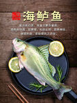 海鲈鱼
