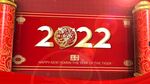 虎年春晚新年喜庆