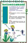 百白破疫苗