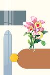 花卉