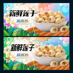 莲子