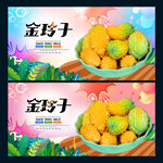 金玲子