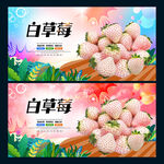 白草莓