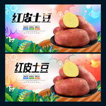 红皮土豆