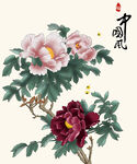 牡丹花