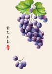 紫气东来水果画