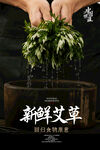 新鲜艾草海报 
