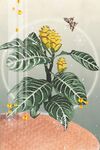 蝴蝶装饰画