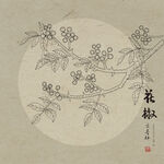 花椒