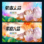 紫皮大蒜