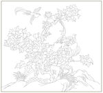 牡丹