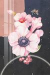 蝴蝶